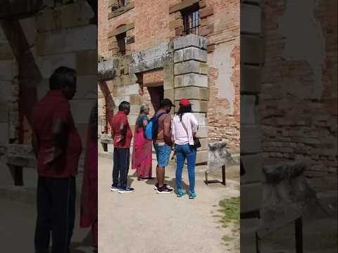 Thumbnail for Diamond Princess Cruises - 5-Port Arthur Sunday 15 December 2024 #4kwalk #cruise #australia