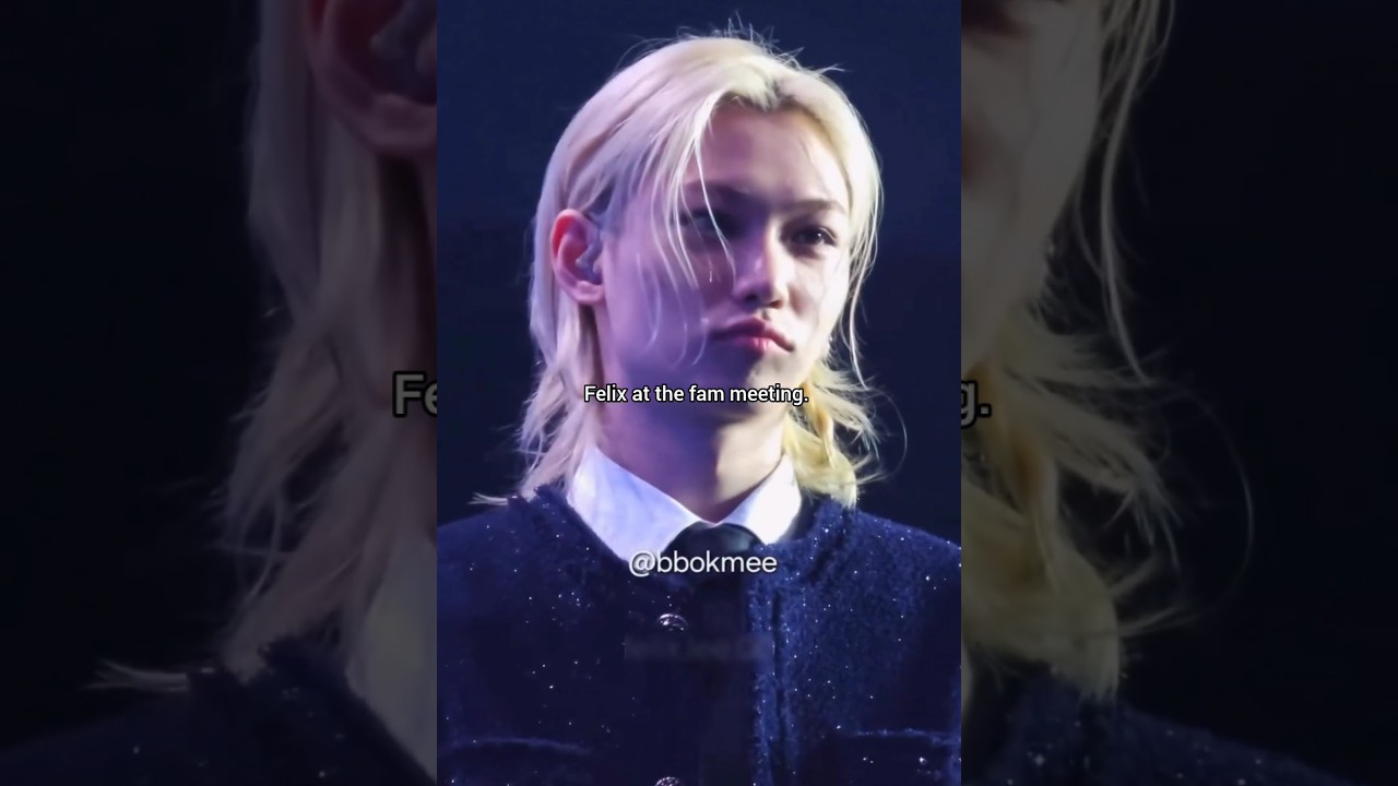 الحفل ناقصني 🙂‍↕️ #felix #straykids #skz #stay #hyunjin #hyunlix #fyp #فيليكس #ستراي_كيدز #هيونجين