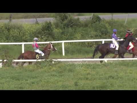 SINT COLONIA 251025 c10 - REY HUMOR JF