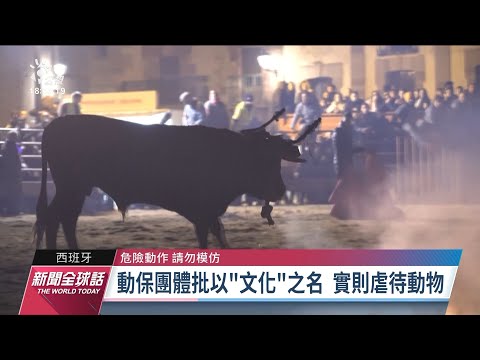 動物 火