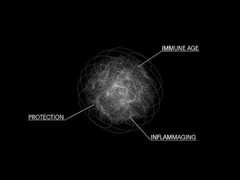 Omniscope 공식 영상 미리보기