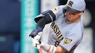 ⚾球審に直撃の衝撃アクシデント…京セラドーム騒然😱