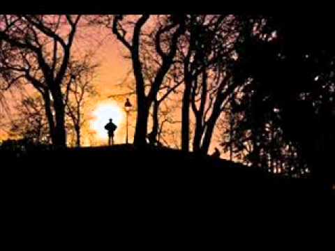 Jose Amnesia vs. Serp - Second Day (Martin﻿ Roth Remix)