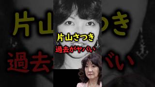 【絶句】片山さつきの過去を調べてみたら酷かった