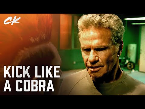 afbeelding Kick like a Cobra - Inside the Stunts of Cobra Kai