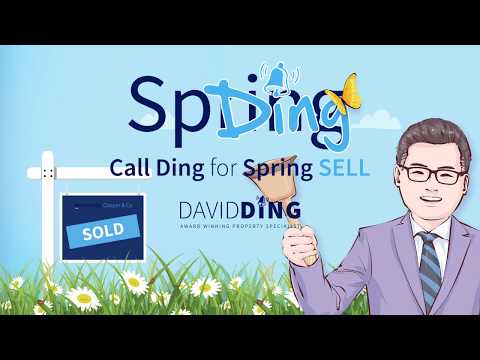 Profile Video: David Ding Spring Sell
