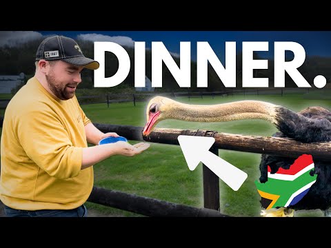 SOUTH AFRICAN FOOD is NOT what you THINK. (I ate Ostrich?) 🤔🇿🇦