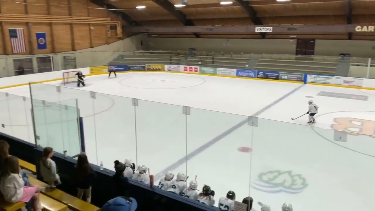 Game 5 (Stars and Stripes): Tate scores goal in shootout