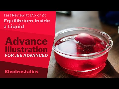 29. Advance Illustration | Electric Force and Electric Field | Equilibrium Inside a Liquid