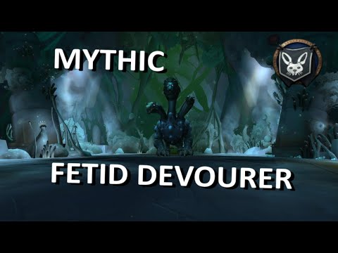 RR Inc Vs Mythic Fetid Devourer - Havoc DH POV