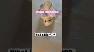 Guess the towel Animal #cruiseship