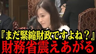 4/10【国会】「結局まだ緊縮財政ですよね？」参政党・塩入清香議員が覚醒！！財務省の闇を暴いてしまう。#高市早苗 #神谷宗幣 #国民民主党 #片山さつき#小野田紀美#参政党#日本保守党 