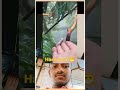 Creature eat food | Hase Daat 😁 #memes #shorts #viral #youtubeshorts #youtubeshortsindia #hasedaat