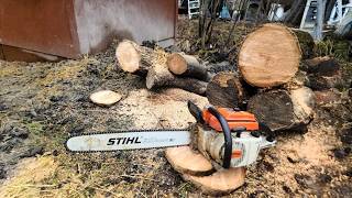 Will This Abandoned STIHL 041AV Chainsaw Fire Up After 20 Years?