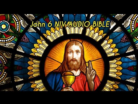 JOHN 6 NIV AUDIO BIBLE(with text)