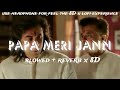 Papa Meri Jaan ( Slowed + Reverb x 8D ) | Ultimate peace | Sonu Nigam | Ultra relaxing lofi x 8D |