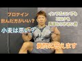 プロテインは必要?小麦は?健康的に生きるには…