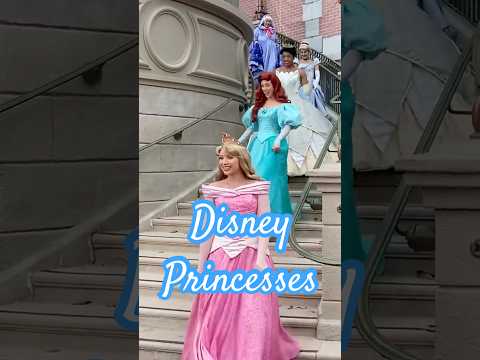 8 Disney Princesses Descend to Greet Excited Guests at the Magic Kingdom!
