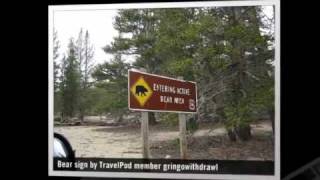 preview picture of video 'Proposed Mt. Whitney hike Gringowithdrawl's photos around Lone Pine, United States (mt whitney)'