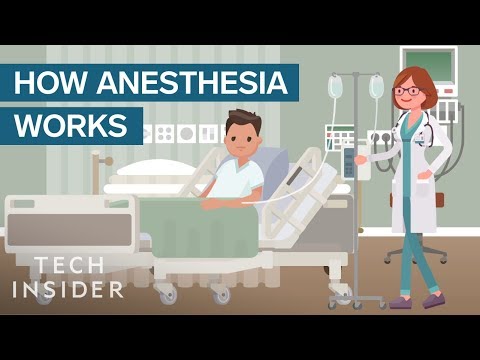 Here's How Anesthesia Works