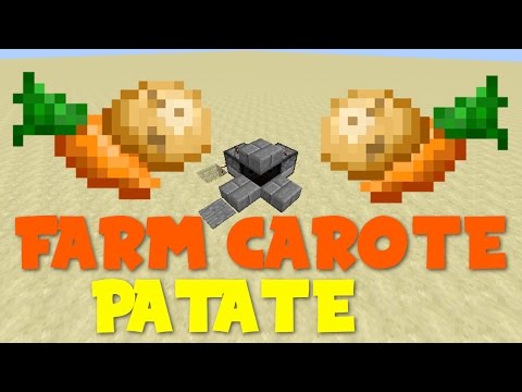 Minecraft:Farm di Carote/Patate