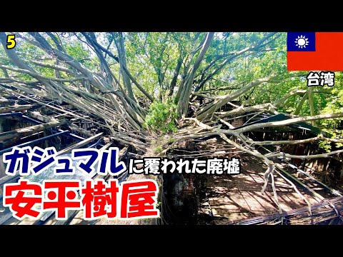 [Viagem a Taiwan 2023] Dia 3 ① “A casa erodida pelas figueiras” em Tainan foi incrível!