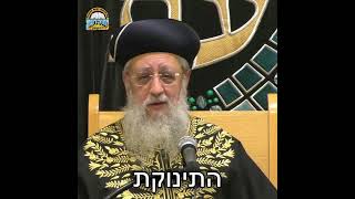 נדיר!!! השקיעות של מרן הרב עובדיה יוסף זצ"ל בלימוד התורה- מרן הראשון לציון הגאון רבי דוד יוסף שליט"א (מוסדות יחווה דעת) - התמונה מוצגת ישירות מתוך אתר האינטרנט יוטיוב. זכויות היוצרים בתמונה שייכות ליוצרה. קישור קרדיט למקור התוכן נמצא בתוך דף הסרטון