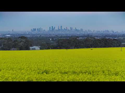 Canola fields time-lapse 2019