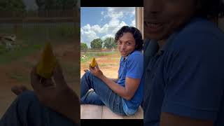 Beija-Flor: Da Etologia aos Testes em Animais #experimento #biologia #história #educação #ciência