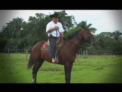 JORGE ROMERO LA MAÑOSA