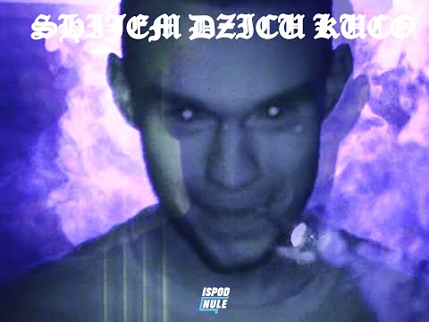 Momica - SHIJEM DZICU KUCO (Official Music Video)