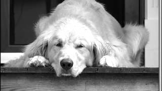 Jakwob Ft. Rationale - No Place Like Home