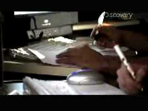 Science of Sex Appeal - Female Copulance