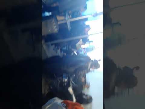 STT Feiloaki 2018 ae Vahenga Ano Masima moe Faifekau Pule Taumata Tue Vaea