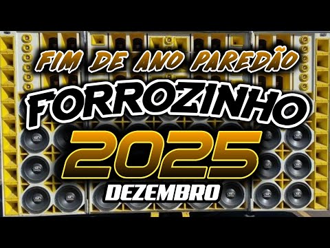FORROZINHO 2025 PAREDÃO LAPADA ATUALIZADO 2025 DEZEMBRO O SOM QUE TOCA #nordeste #piseiro #forrozin