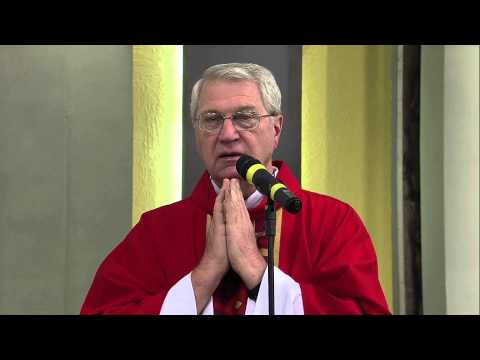 Homilia da Santa Missa 03/05/2013 Celebrante: Pe. Eduardo - Vou caminhar com você!