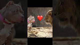 Download lagu November 6, 2022 mp3 Download lagu November 6, 2022 mp3