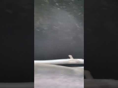 1965 Pontiac GTO (CC-1931163) for sale in Ames, Iowa