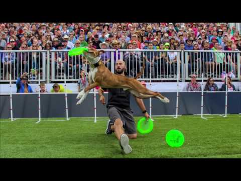 El Pique de Falú 09-27-16 (04) - Entrevista a Remi Martin