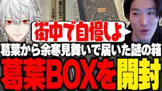 葛葉から届いた謎の箱を開封するやうじ【LoL/RIDDLE ORDER/ゆきお】