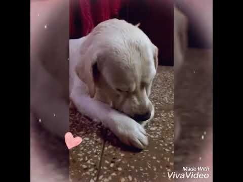 Thande thande Paani se nahana chahiyee😂😘