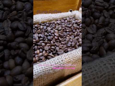 Fresh Coffee Beans