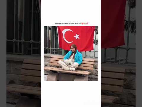 The Cutest Cats Ever!@Sistrology #catlovers #animals #youtubevideo #duet #love