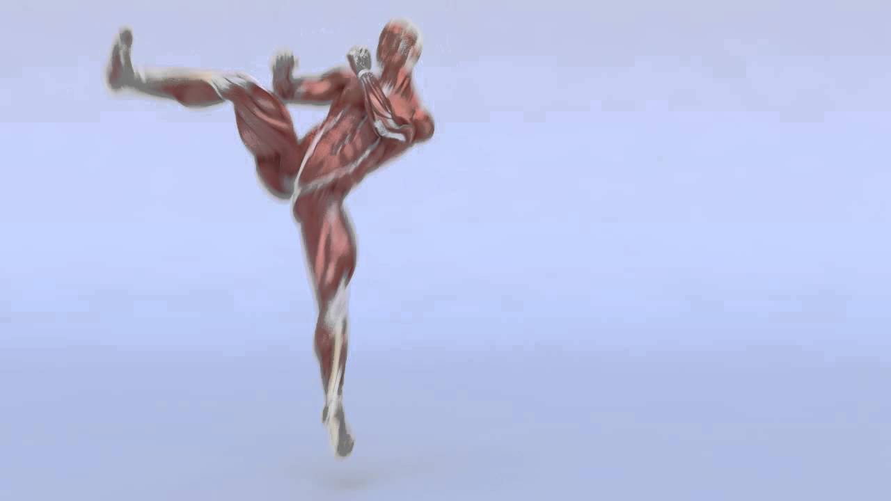 Daz to Modo animation test through animate