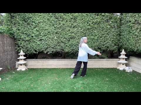 Tai Chi Combo