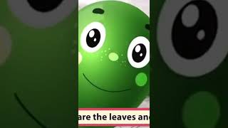 The Colors 🎈| ZuZZi the Ladybug | Nursery Rhymes and Kids Songs #thecolors #kidsmusic #nurseryrhymes