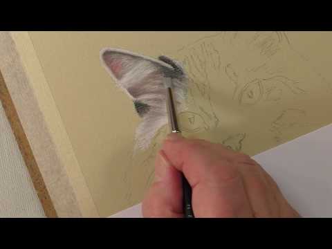Longhaired Cat's Ear Tutorial | Pastel Pencils