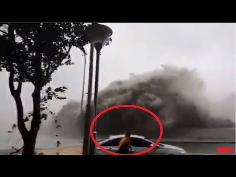 Busan Tsunami Korea