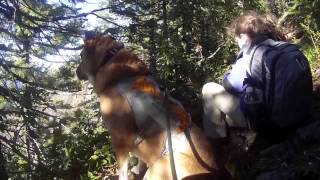 Henline Mt. Hike Part 2