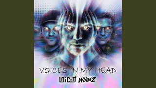 Voices In My Head